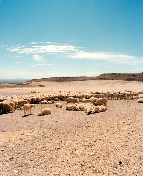 http://simondeprez.eu/files/gimgs/34_bardenas140.jpg